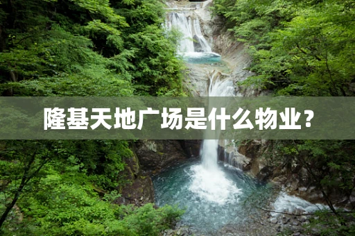 隆基天地广场是什么物业？