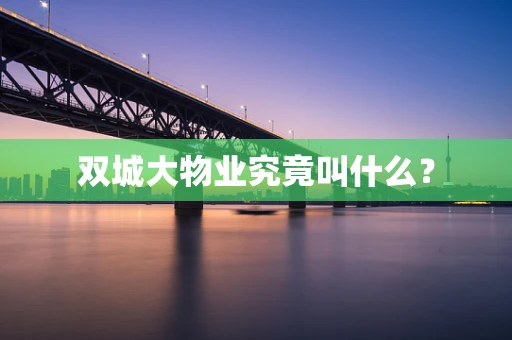 双城大物业究竟叫什么？