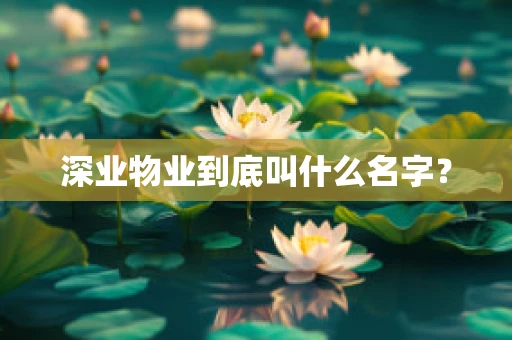 深业物业到底叫什么名字？