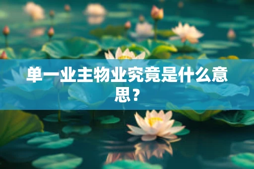 单一业主物业究竟是什么意思？