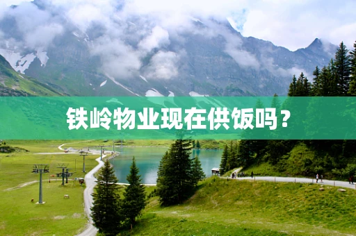 铁岭物业现在供饭吗？
