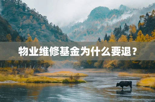 物业维修基金为什么要退？
