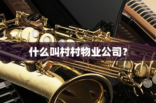 什么叫村村物业公司？