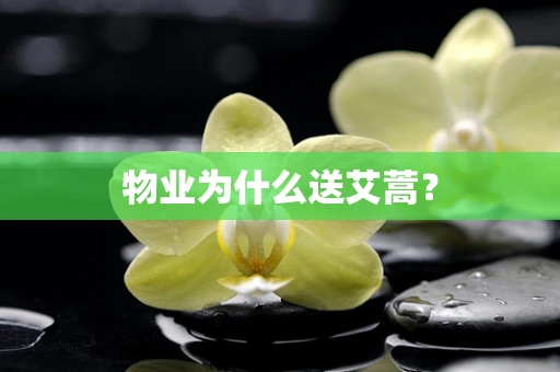 物业为什么送艾蒿？