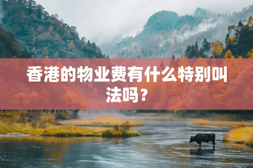 香港的物业费有什么特别叫法吗？