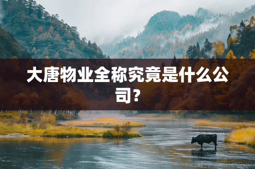 大唐物业全称究竟是什么公司？
