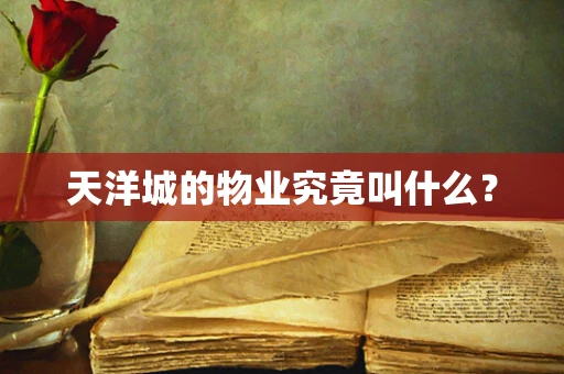 天洋城的物业究竟叫什么？
