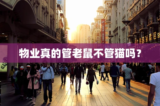 物业真的管老鼠不管猫吗？