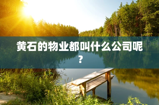 黄石的物业都叫什么公司呢？