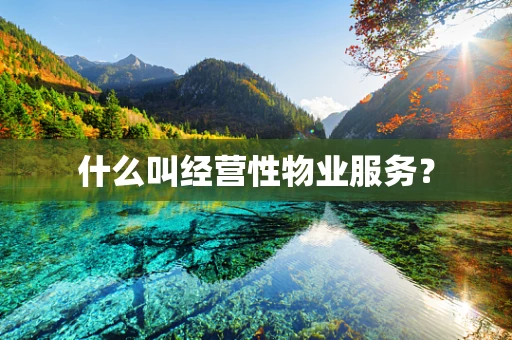 什么叫经营性物业服务？