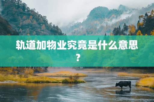轨道加物业究竟是什么意思？