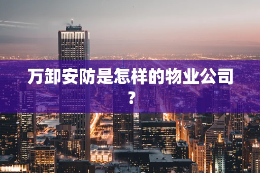万卸安防是怎样的物业公司？