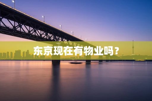 东京现在有物业吗？