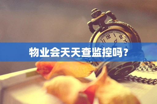 物业会天天查监控吗？