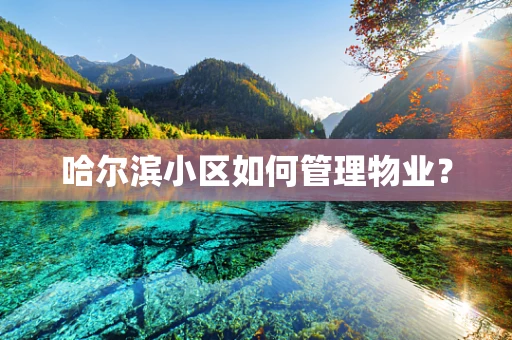 哈尔滨小区如何管理物业？