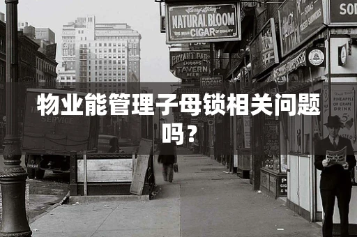 物业能管理子母锁相关问题吗？