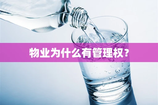 物业为什么有管理权？