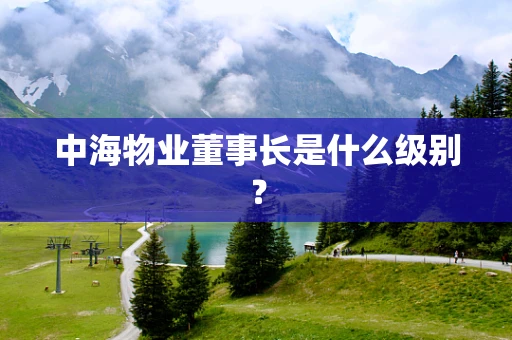 中海物业董事长是什么级别？