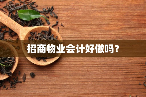 招商物业会计好做吗？