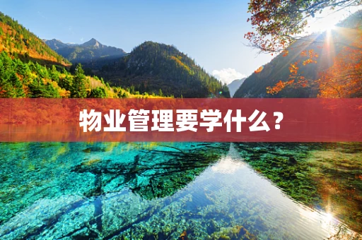 物业管理要学什么？