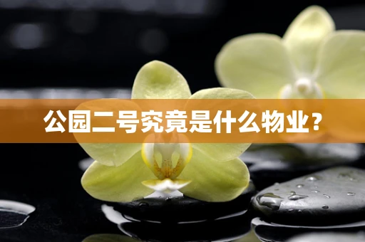 公园二号究竟是什么物业？