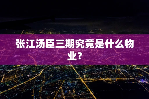 张江汤臣三期究竟是什么物业？