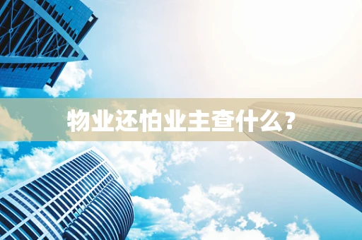 物业还怕业主查什么？