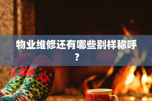 物业维修还有哪些别样称呼？