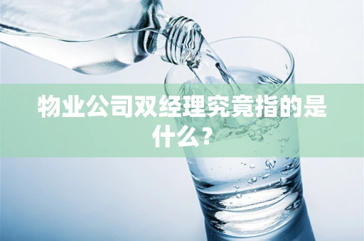 物业公司双经理究竟指的是什么？