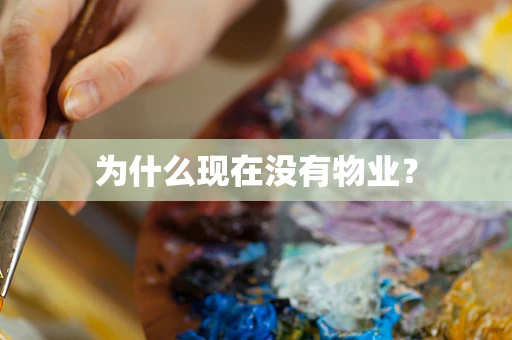 为什么现在没有物业？