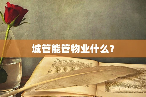 城管能管物业什么？