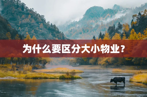 为什么要区分大小物业？