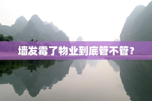 墙发霉了物业到底管不管？