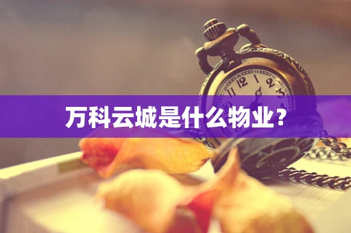 万科云城是什么物业？