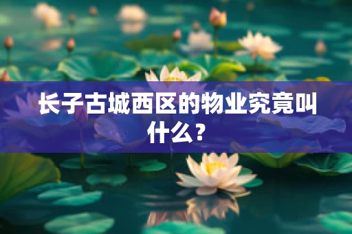 长子古城西区的物业究竟叫什么？