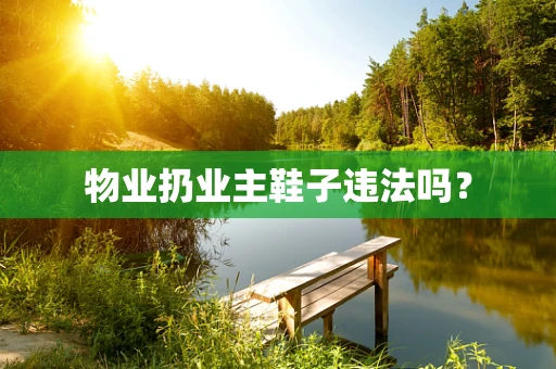 物业扔业主鞋子违法吗？