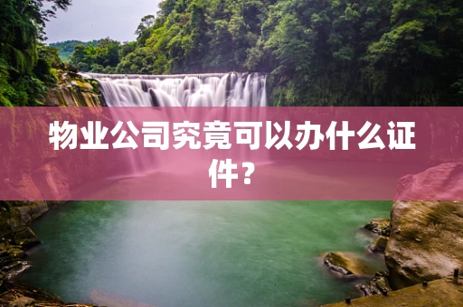 物业公司究竟可以办什么证件？