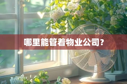 哪里能管着物业公司？