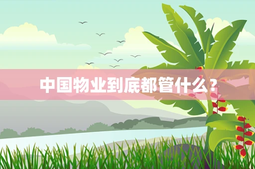 中国物业到底都管什么？
