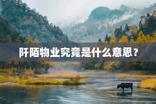 阡陌物业究竟是什么意思？