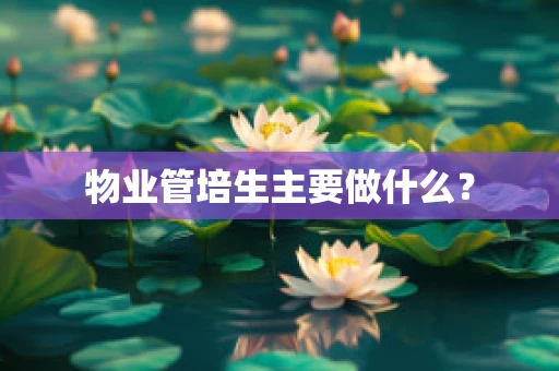 物业管培生主要做什么？
