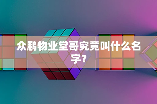 众鹏物业堂哥究竟叫什么名字？