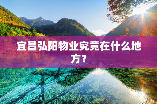 宜昌弘阳物业究竟在什么地方？