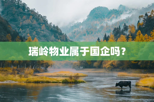 瑞岭物业属于国企吗？