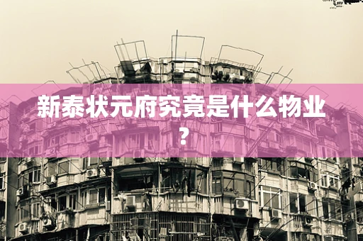 新泰状元府究竟是什么物业？