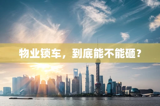 物业锁车，到底能不能砸？