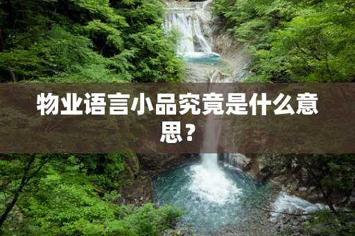 物业语言小品究竟是什么意思？