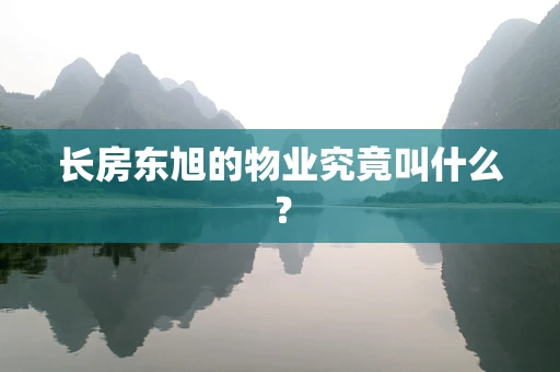长房东旭的物业究竟叫什么？