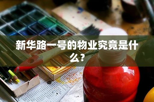 新华路一号的物业究竟是什么？