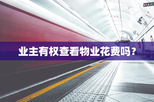 业主有权查看物业花费吗？